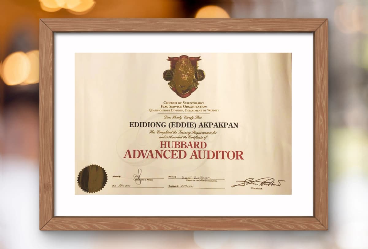 Class IV Auditor